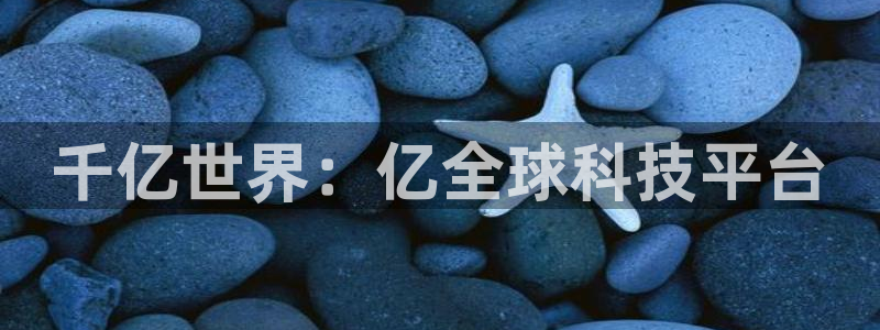 新航娱乐app