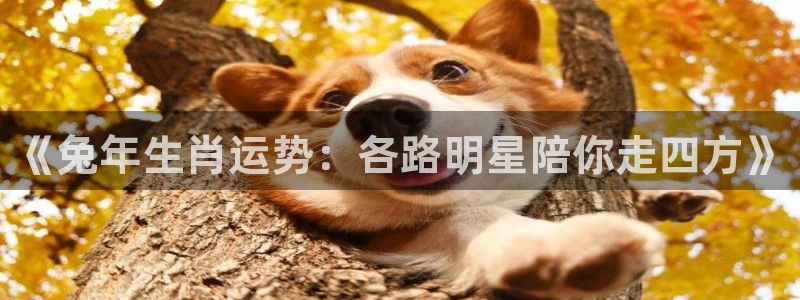 新航娱乐下载