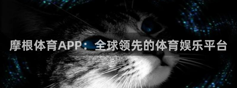 壹号平台下载安装