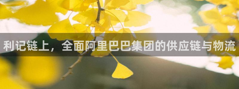 新航娱乐下载