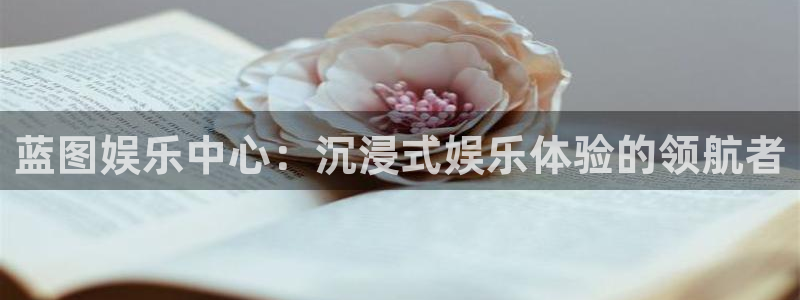 新航娱乐网站