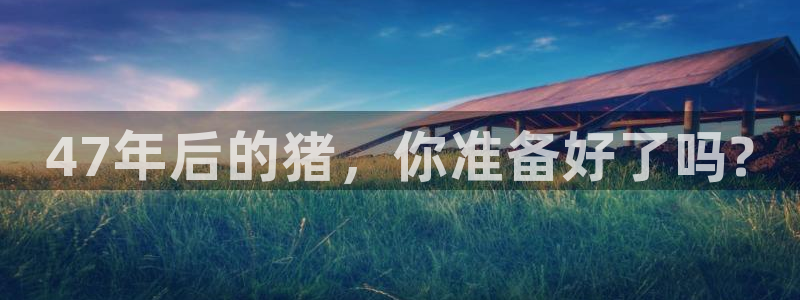 新航娱乐能退款吗