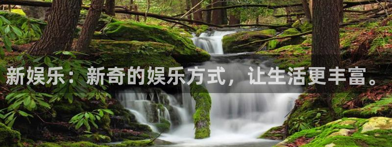 新航娱乐怎么下载