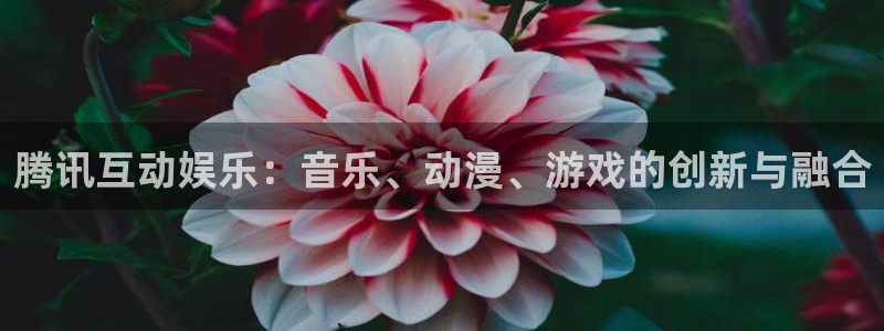 新航娱乐官网下载
