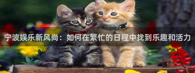 新航娱乐app下载官网
