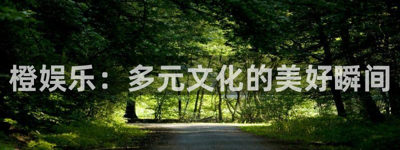 壹号电子娱乐app