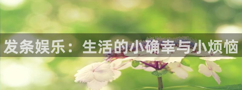 壹号官网app下载安装