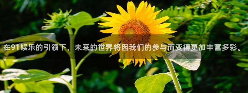 壹号top娱乐
