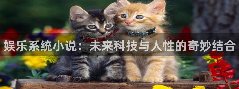 壹号电子娱乐app下载安装最新版本