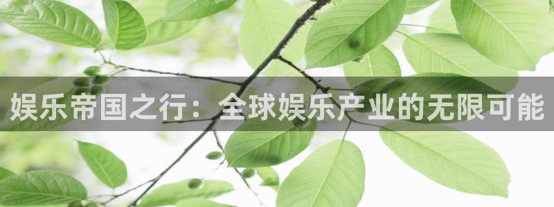 新航娱乐官网入口