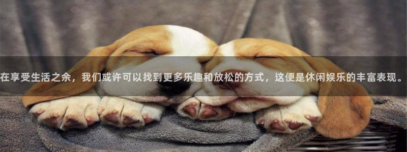新航娱乐电子游戏官网