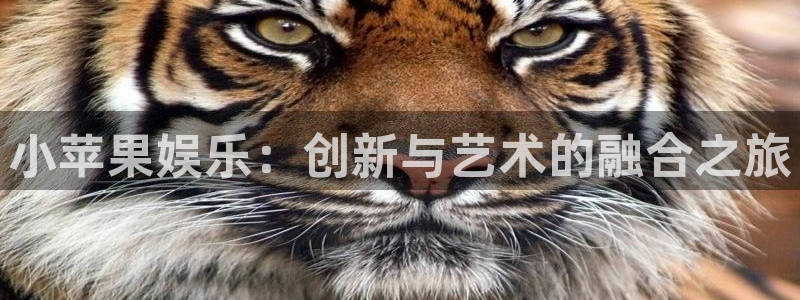 新航娱乐官网