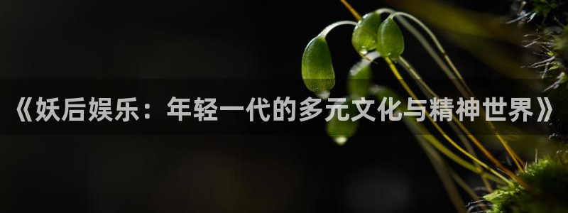 壹号平台娱乐