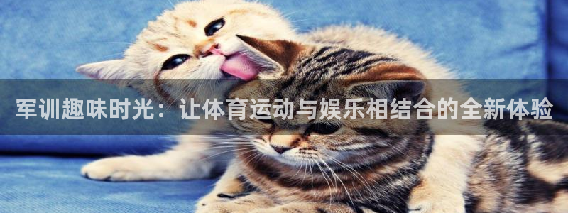 新航娱乐app网页入口