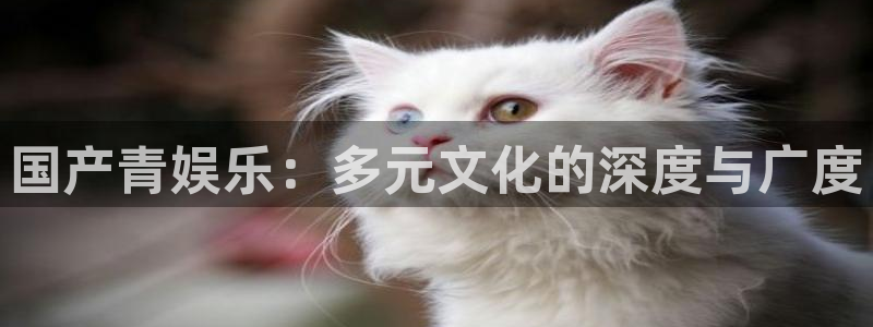 新航娱乐.com