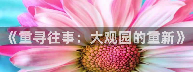 壹号电子娱乐app