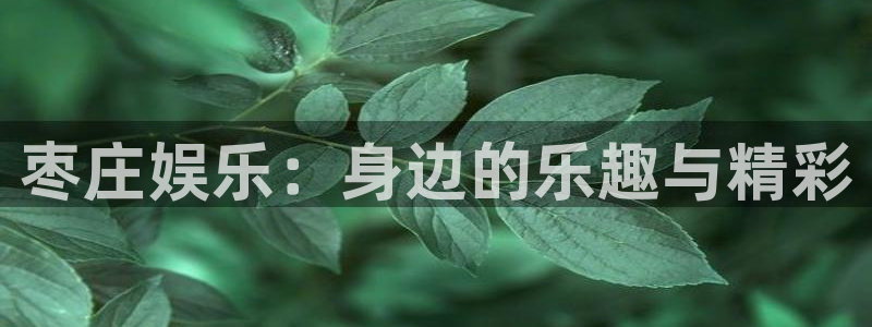 壹号大舞台下载