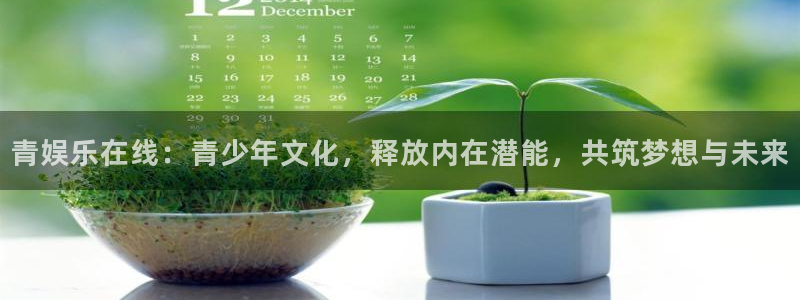 壹号电子娱乐app下载安装