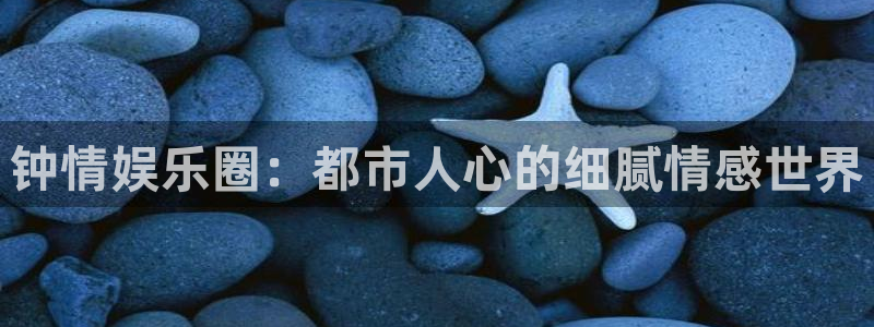 壹号app官方登录入口下载