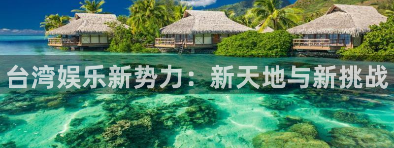 新航娱乐吧