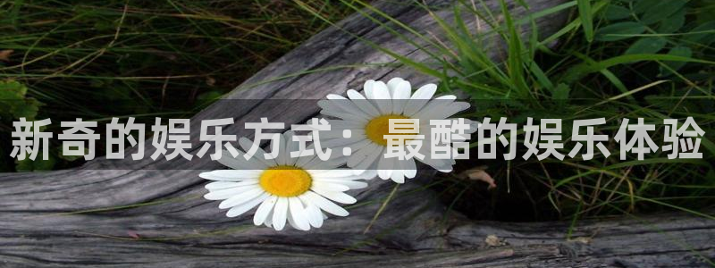 壹号大舞台