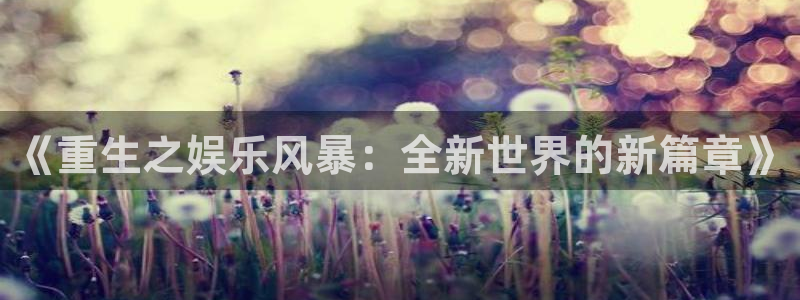 新航娱乐com