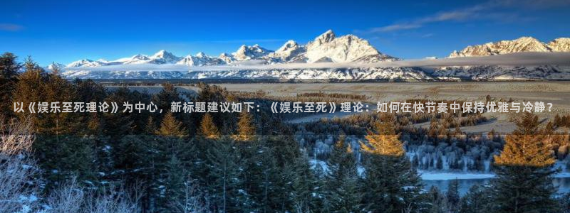 新航娱乐,apk