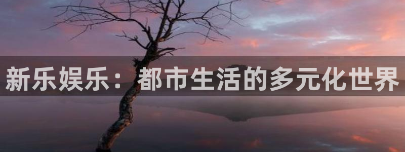 壹号大舞台28国际大舞台：新乐娱乐：都市生活的多元化世界