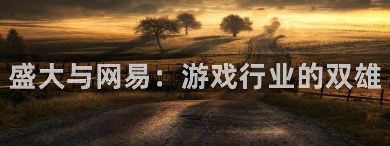 新航娱乐下载：盛大与网易：游戏行业的双雄
