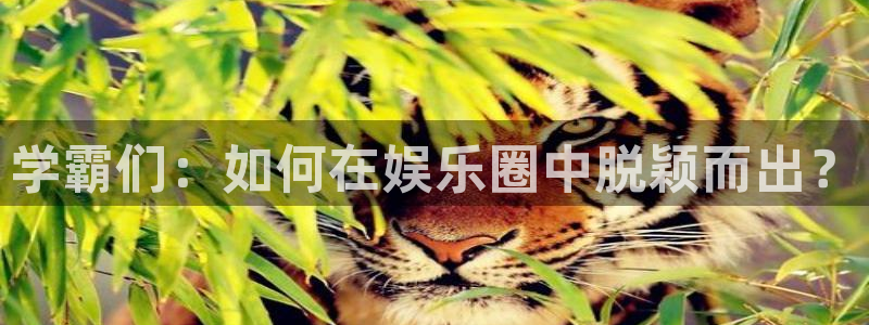 壹号app官方登录入口下载